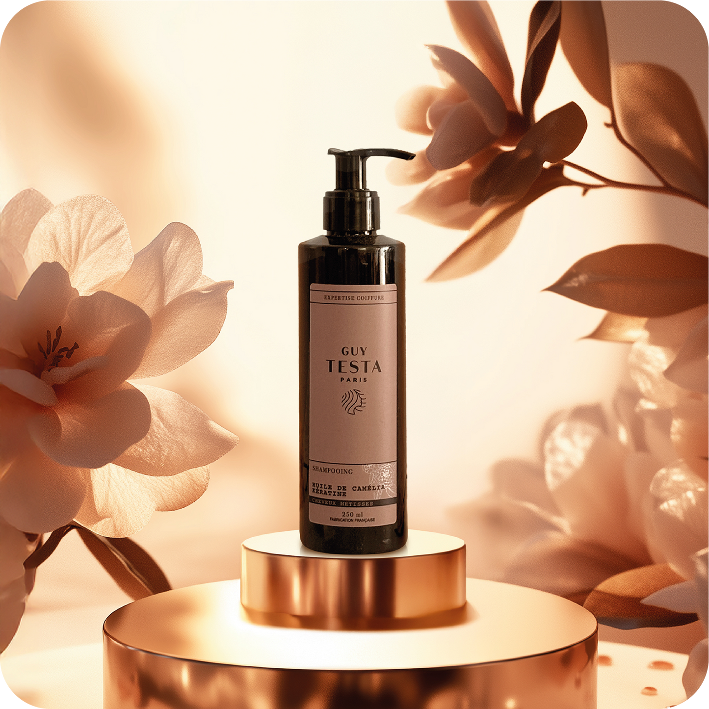 Le Pack Premium - Métisse