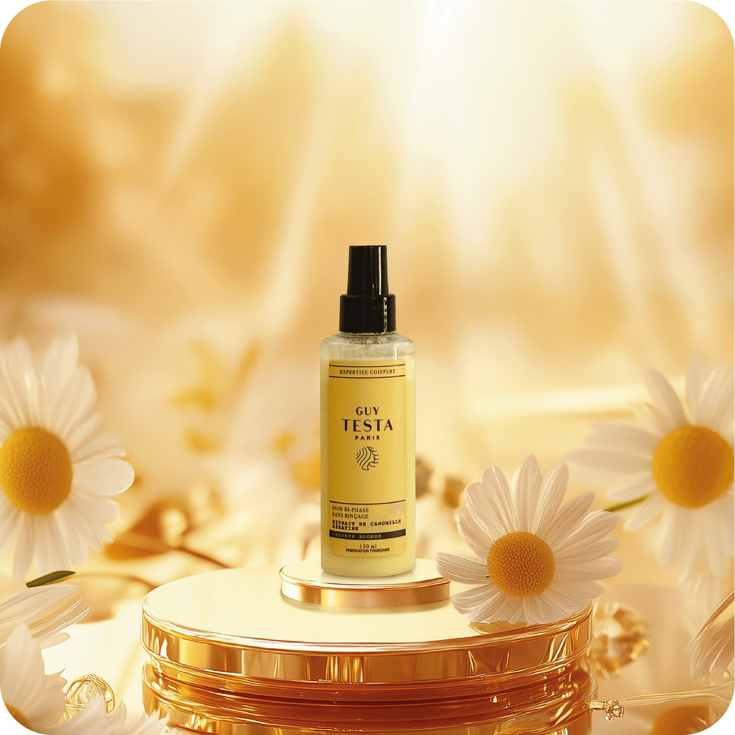 Le Pack Premium - Blonde