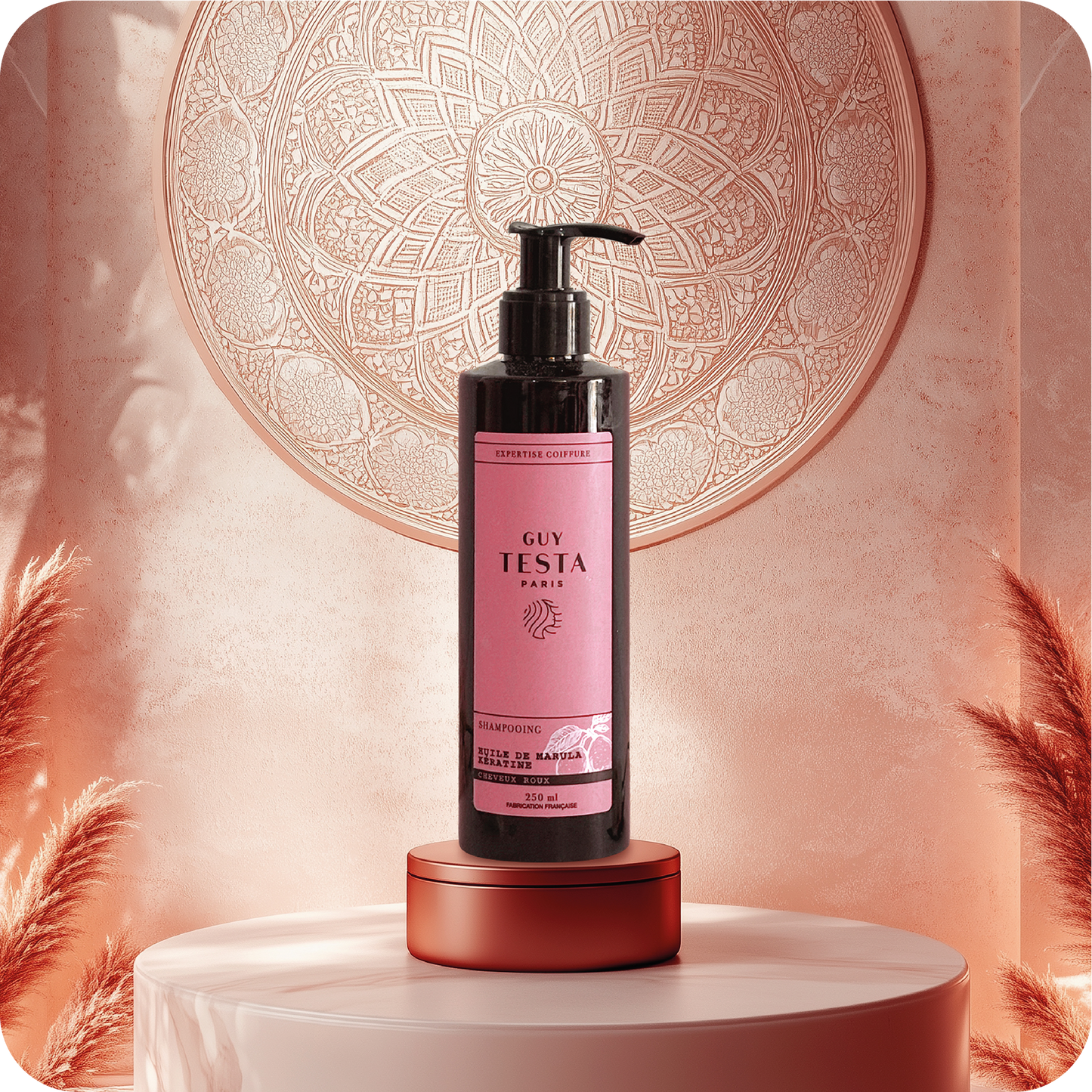 Le Pack Premium - Rousse