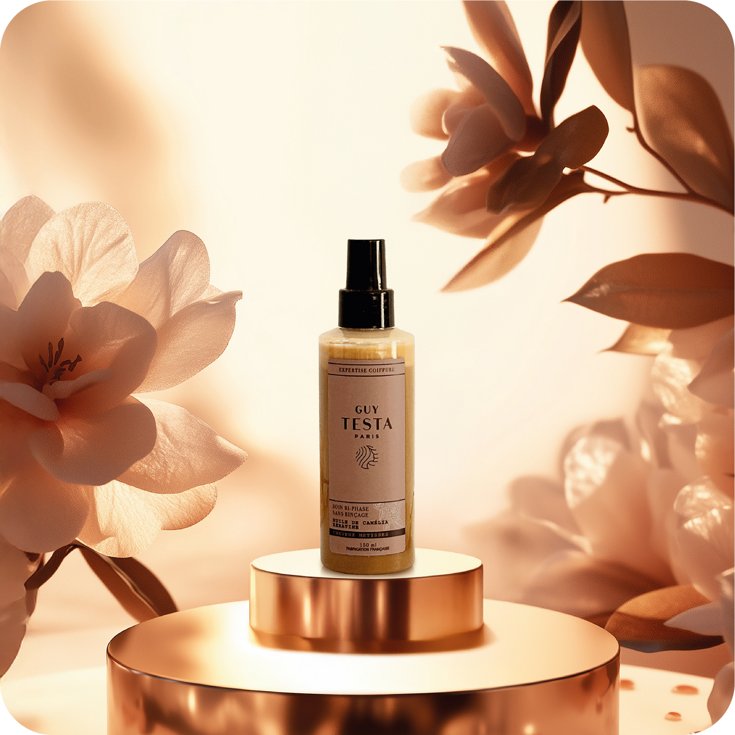 Le Pack Premium - Métisse