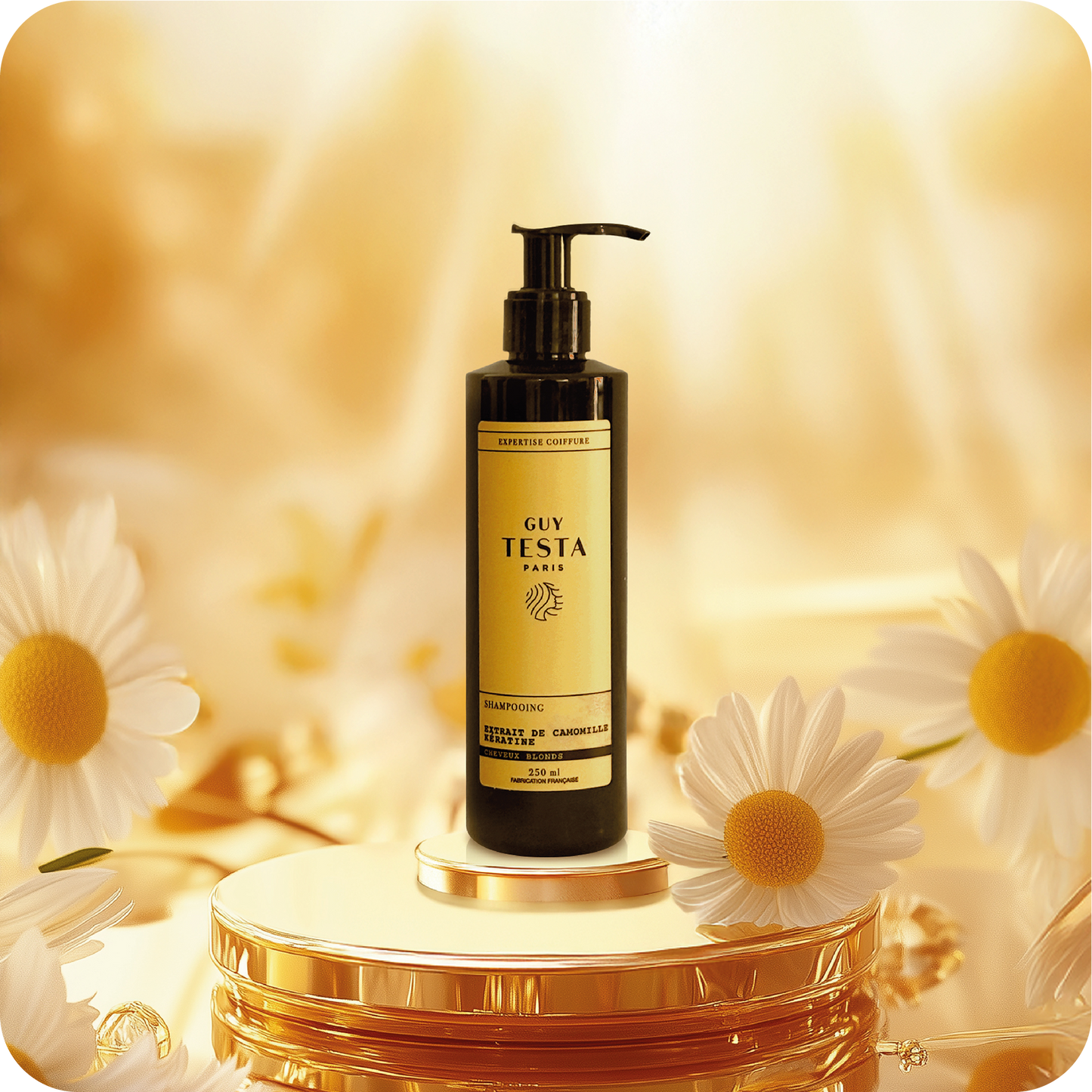 Le Pack Premium - Blonde